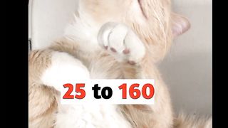 Amazing Facts 11