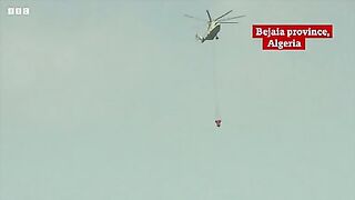 Algeria fires- Locals return to burnt homes