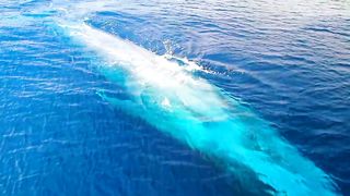 Nature Scenic View | Relaxing Video | Nature Relaxing | 4K Video NATURE | Best Video | #febspot