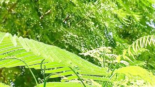 Soothing Nature | Relax View | Meditation | Calming View | Peaceful View | Instant Relief | Dreaming