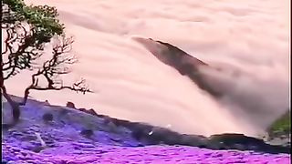 ????سورۃالضحیٰ????