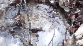 Beautiful nature 66