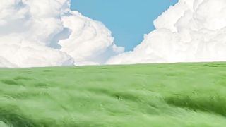 Wind in the Fields