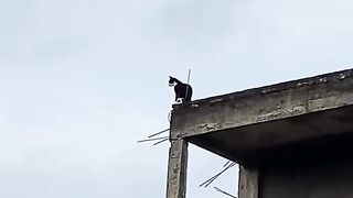galau 3