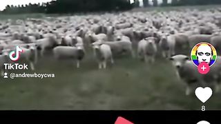 НЕ Е ЛЕСНО................