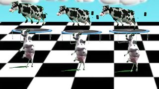 Cow dance  with new style/ funny dance cow
