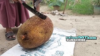 big jackfruit ???? seberapa banyak kamu bisa habiskan buah nangka?