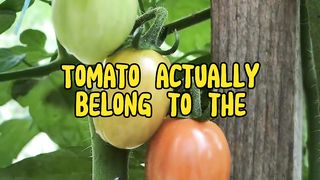 Random facts 3