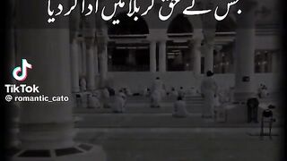 video 175