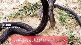Lakhan