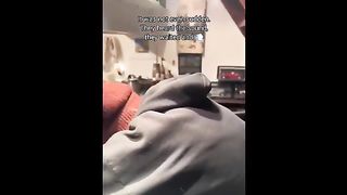You Definitely Laugh, Trust me - Funniest Cats Expression Video Funny Cats Life