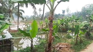 Pedesaan di jawabarat