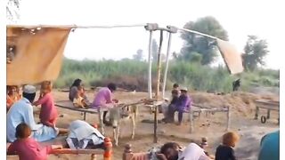 So funny video 2023#viral #share #reels2023 #worldcup2023 #shorts