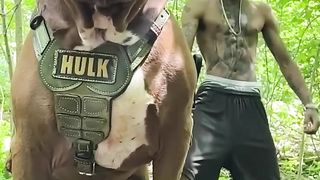 Anjing terbesar di dunia