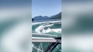 IDIOTS IN BOATS CAUGHT ON CAMERA