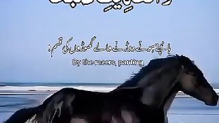 دن کا آغاز بہترین تلاوت قرآن کے ساتھ الحَمْدُ ِلله