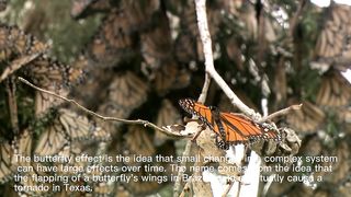The Butterfly Effect