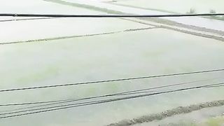 Rain fall today