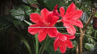 Music for the soul - And the rain keeps pouring