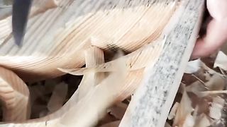 Wood art 4