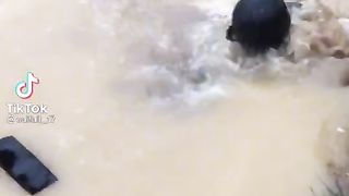 Parah ini