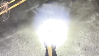 catching fish using traditional arrows at night