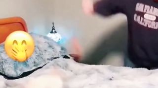 CATS | FUNNY CATS | FUNNY VEDIOS ????‍⬛????
