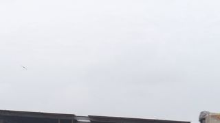 Kite Flight 2