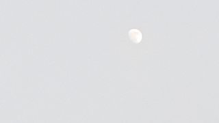 Moon and Pigeons