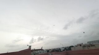 Kite Flying 3