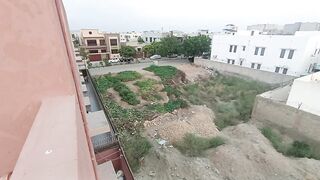 Vegetables Garden