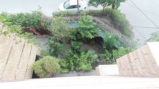Virtual Lawn 4