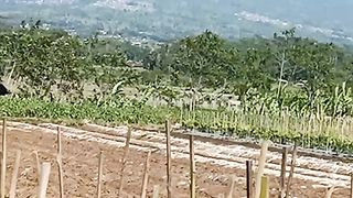 Mountain 16