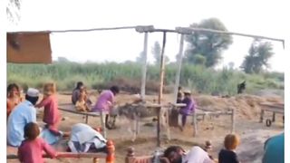 Pakistani jugar 3