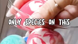 Random facts 4