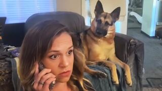 German Shepherd dog suddenly reaction to hear his favorite word???? Funny Dog Video