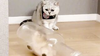 it's my bottle