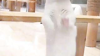 I can walk