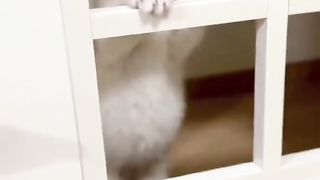 open please mom