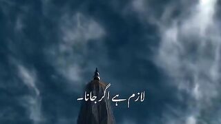 muharram video 3