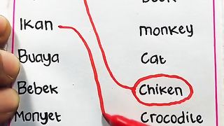English learning videos of animal names