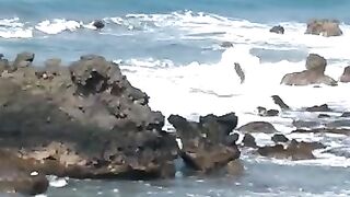 Pantai lintas barat sumatera