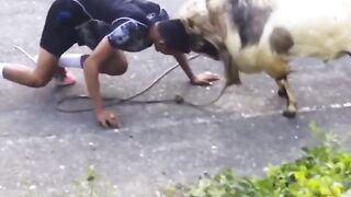 man vs goat