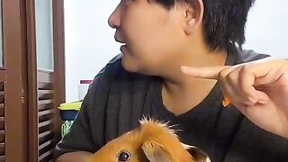 Very cute 4
