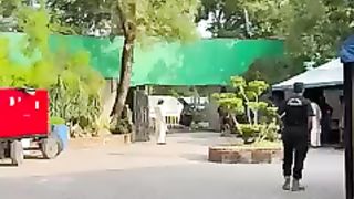 Viral video 15
