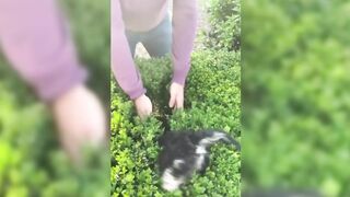 Funniest Animals Video - Funny Dogs And Cats - Try Not To Laugh Animals 2023 2