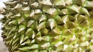 Durian 2