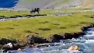 Amazing view 14