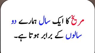 General knowledge in urdu 14