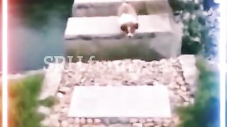 Funny cat 194